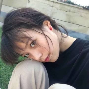 神龙战争网易版下载